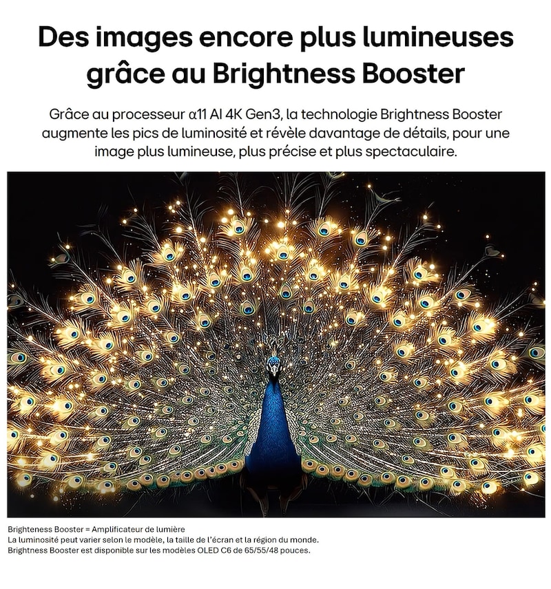 LG OLED evo AI C6 avec Brightness Booster montre une scène sombre où un paon lumineux déploie ses plumes éclatantes et rayonnantes, offrant des lumières plus brillantes avec des détails améliorés et un contraste saisissant.